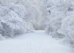 تحذير جوي : موجة برد شديدة الخطورة تحذير جوي : موجة برد شديدة الخطورة