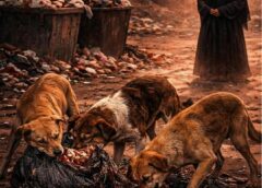 جريمة مروعة في درنة: أم تُلقي رضيعها للكلاب بعد ساعات من ولادت