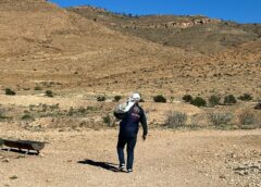 قافلة الخير تنطلق من صفاقس إلى بنزرت: شبكة غصن الزيتون توزّع سلال رمضان على العائلات المحتاجة