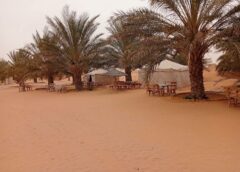 🌵 Domaine de l’Oasis في قصر غيلان: تجربة فاخرة في قلب الصحراء التونسية